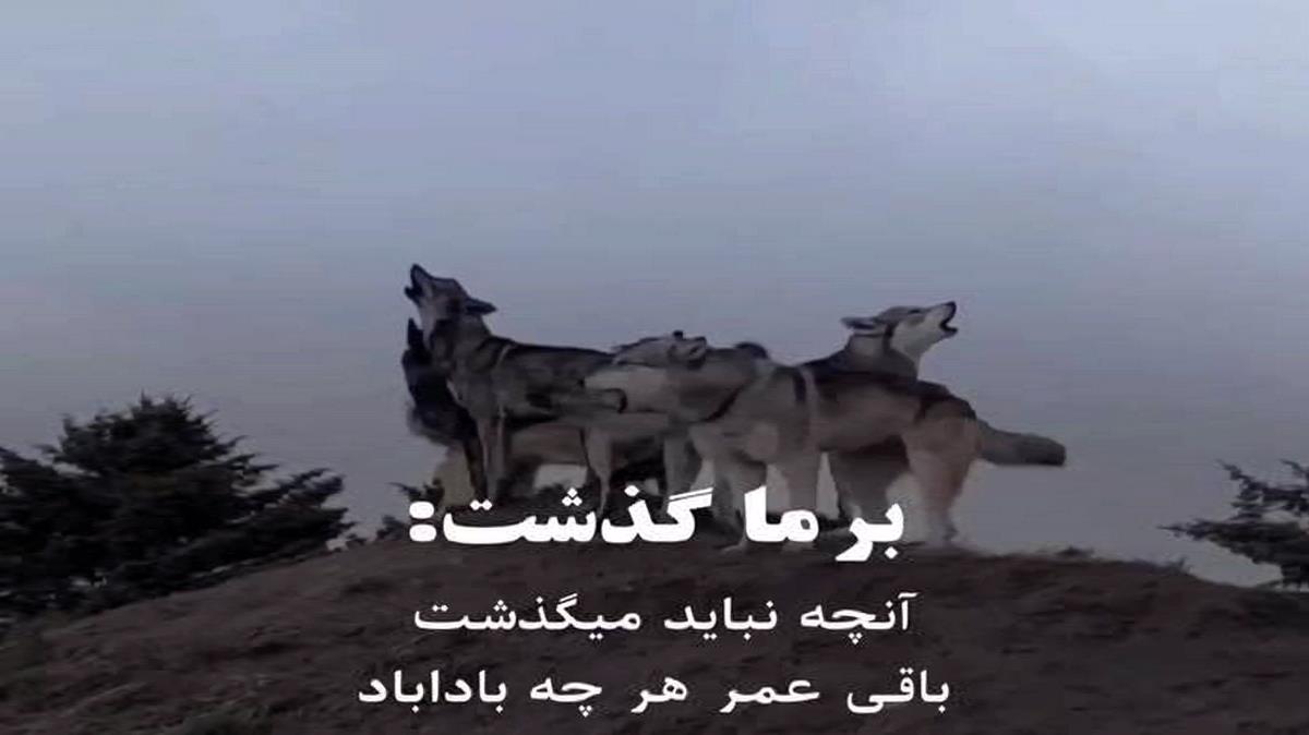 معین ای آنکه به جز تو هوایی به سرم نیست